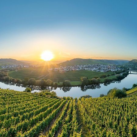 Holiday Home In The Eifel-Mosel With Garden Roes Exterior foto